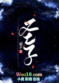 圣子之类的小说